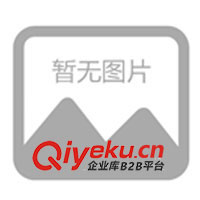 供應瓦倫蒂仕休閑時尚男式T恤 男裝T恤 T恤 服裝